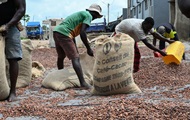 Світові ціни на какао оновили рекорд