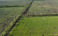 Посівна в Україні підходить до завершення