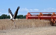 В Україні зібрали майже 30 млн тонн зерна нового врожаю